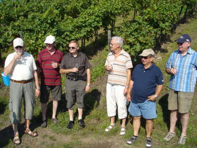 Barfupfad Bad Sobernheim