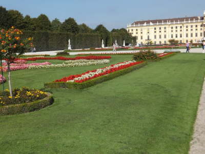 DSCF0829